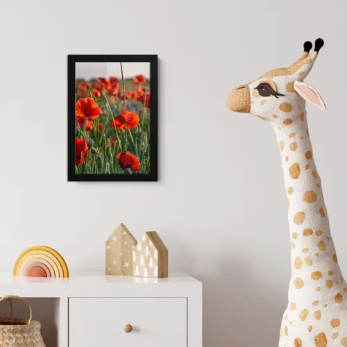 Bloemen - Klaprozen - Natuur - Rood fotolijst zwart zonder passe partout klein -usfeer4_kinderkamer