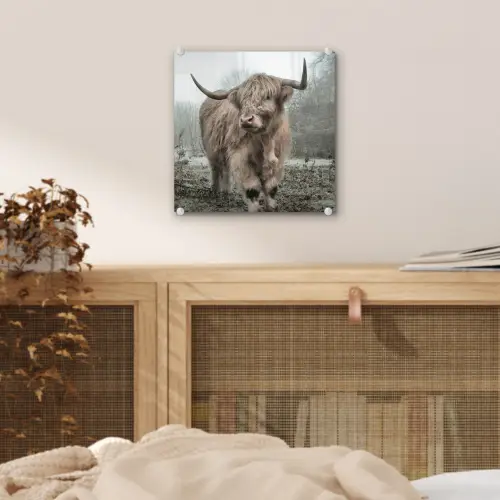 Schotse hooglander - Natuur - Herfst - Dieren - Wild - Bos plexiglas 5mm klein -sfeer4
