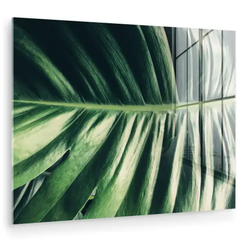 Inductie beschermer - Bananenblad - Tropisch - Jungle - Bladeren plexiglas 5mm klein -zzzproduct_nieuw