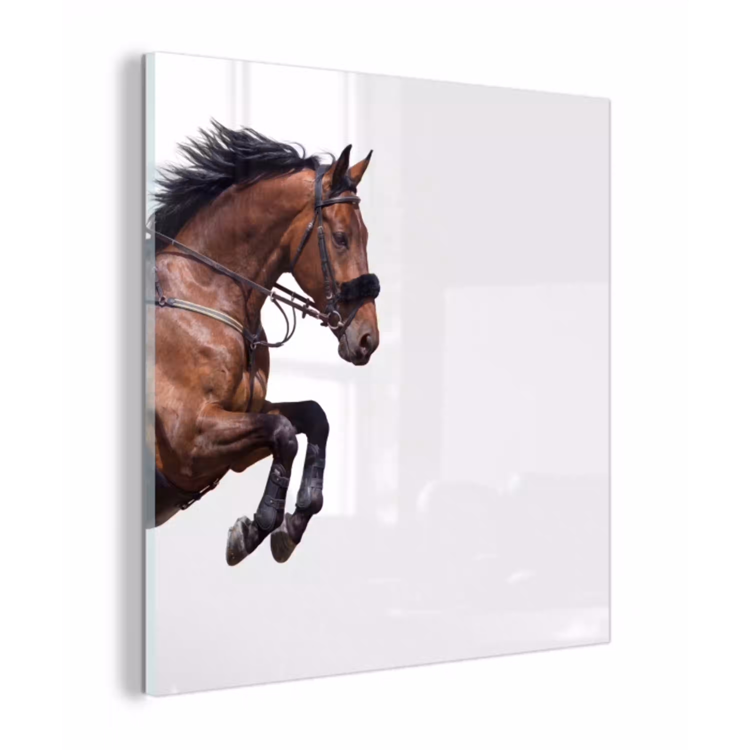 Paard - Springen - Modern plexiglas 5mm klein -z3d