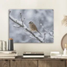 Vogel - Tak - Sneeuw - Winter PET vilt klein -sfeer1