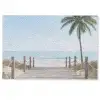 Palmbomen - Pad - Horizon Deurmat klein -zkaufland3d