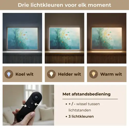 Waterplanten - Vissen - Kleurrijk - Water Light Box met batterij (Wandlamp) middel -USP_lichtkleurNL