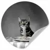 Bengaal - Kat - Tafelkleed - Zwart - Wit - Dier Wandcirkel behangsticker klein -3d