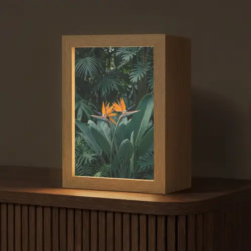 Paradijsvogel - Bloem - Exotisch Light Box met kabel (Tafellamp) klein -z3d_website