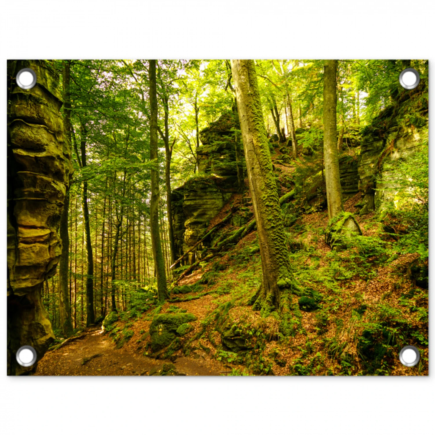 Bosrijke rotsformatie tuinposter los doek klein -3d