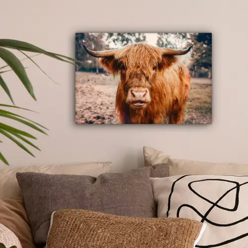 Koe- Schotse hooglander - Hoorns - Bruin - Landschap canvas 2cm klein -sfeer1