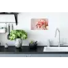 Orchidee - Bloemen - Roze - Bloemblaadjes Muursticker klein -keuken