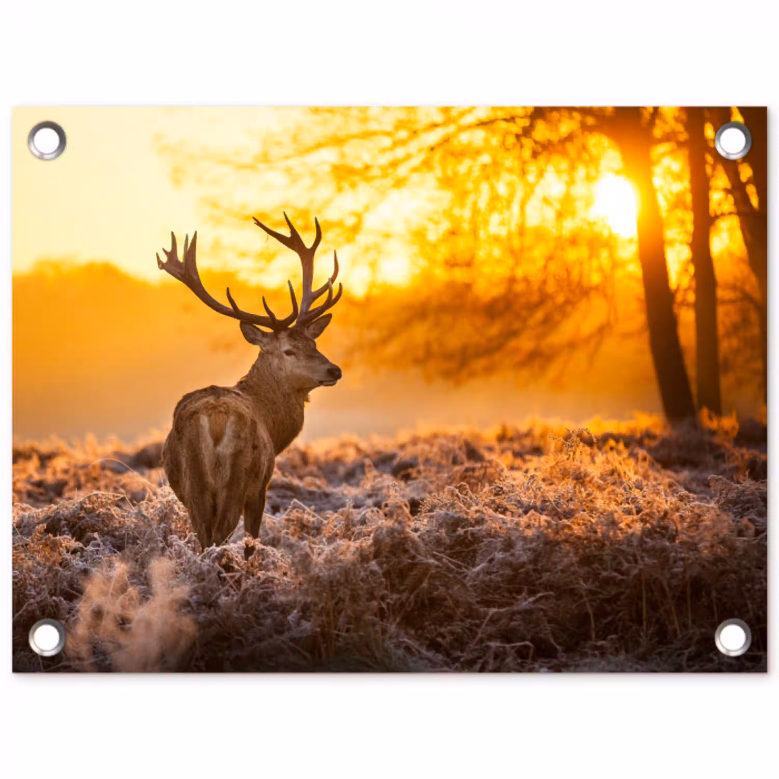 Hert - Dieren - Zonsondergang - Winter - Heide - Natuur tuinposter los doek klein -3d