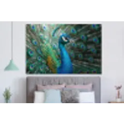 Pauw - Veren - Blauw forex 5mm xxl -slaapkamer