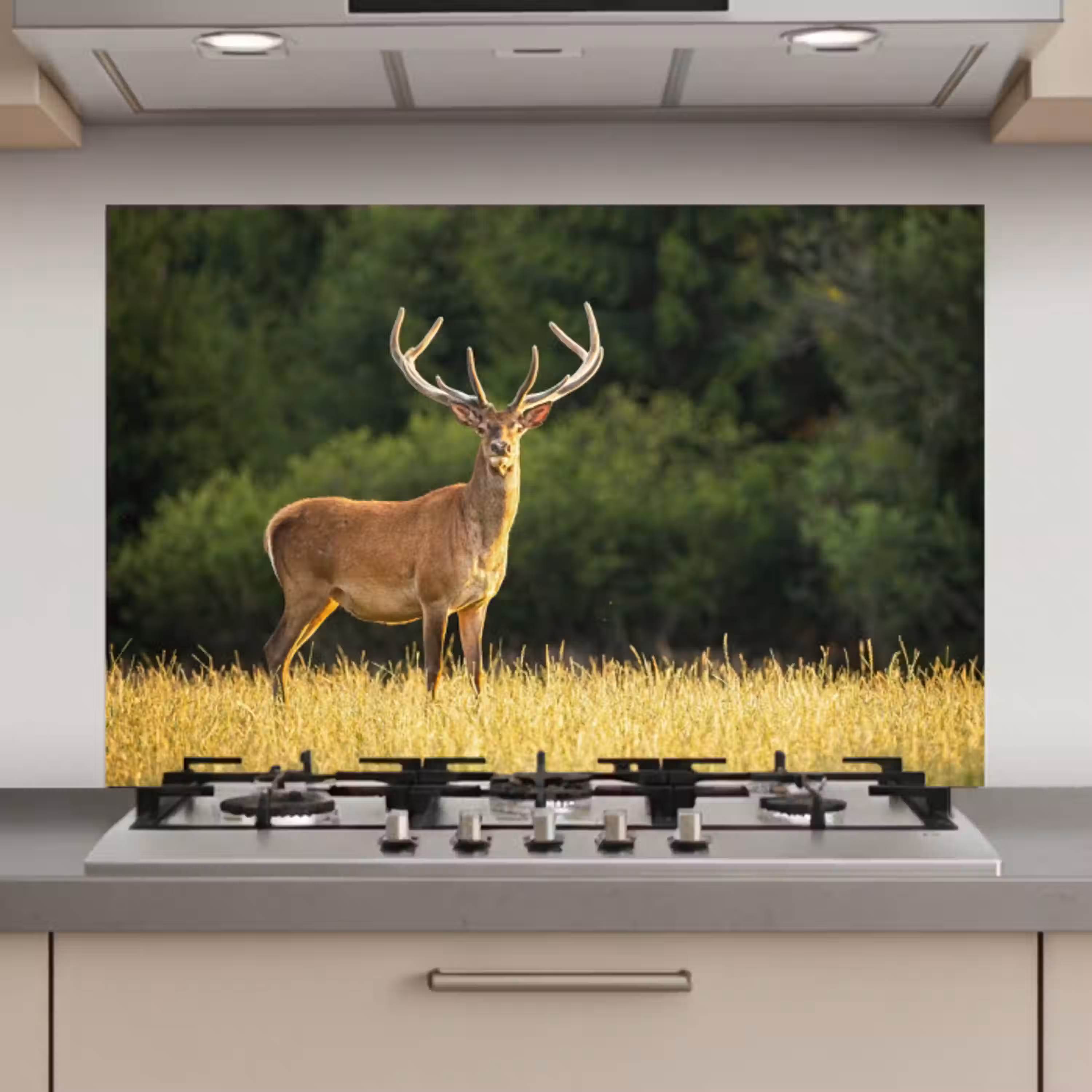 Hert - Gewei - Gras - Natuur - Dieren - Groen keuken achterwand spatscherm klein -3d_website