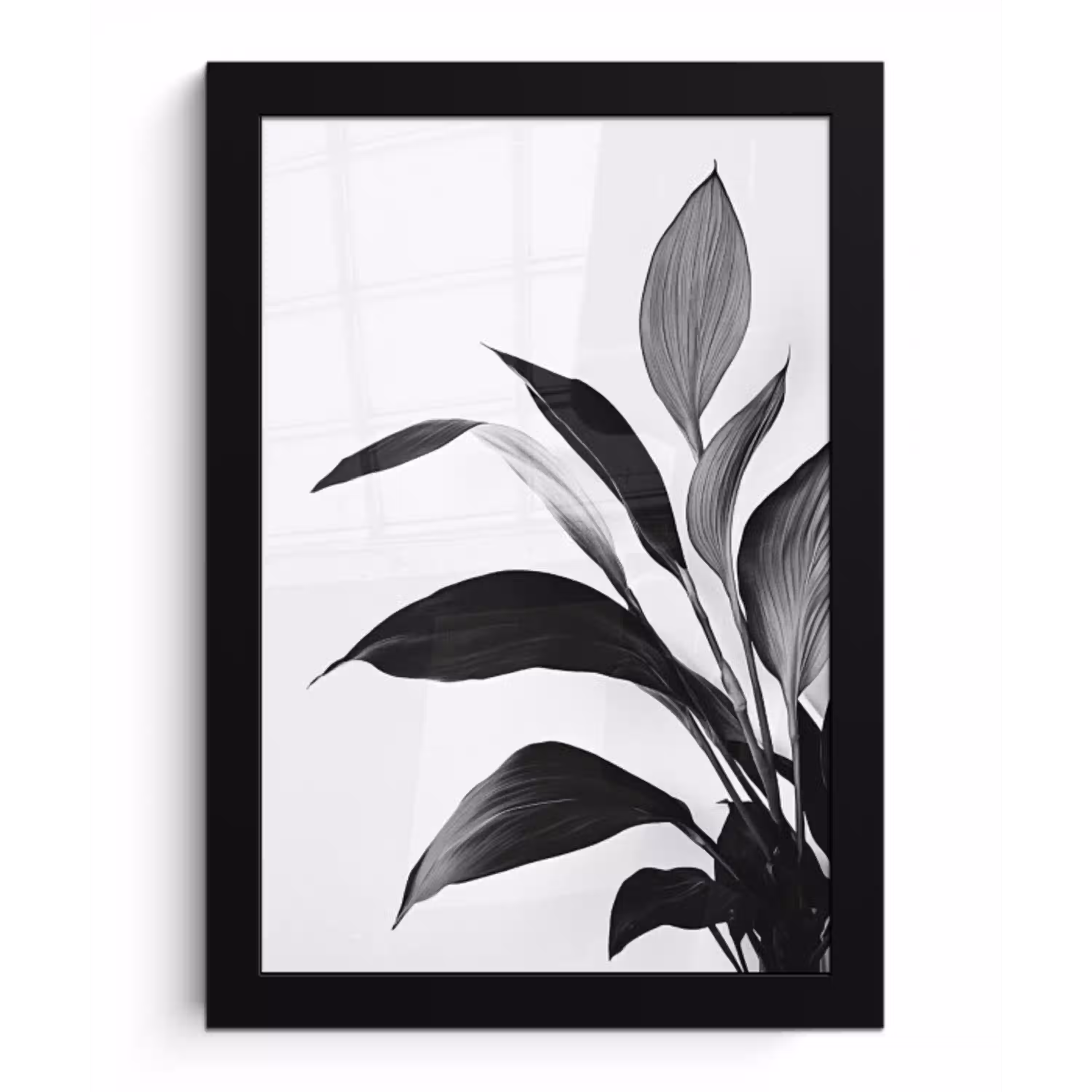 Plant - Bladeren - Minimalistisch - Zwart fotolijst zwart zonder passe partout klein -3d