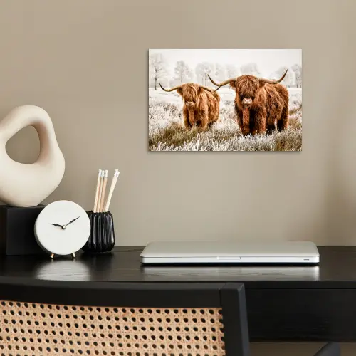 Schotse hooglander - Koe - Natuur - Winter poster papier klein -sfeer1