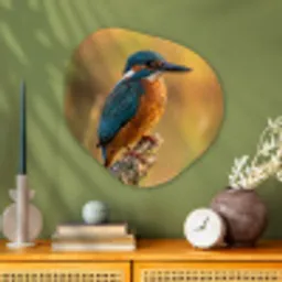 IJsvogel - Tak - Water - Kleurrijk - Levendig Wandcirkel Organisch Aluminium middel -sfeer2