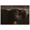 Schotse hooglander - Goud - Koebel - Hoorns - Dieren poster papier klein -3d