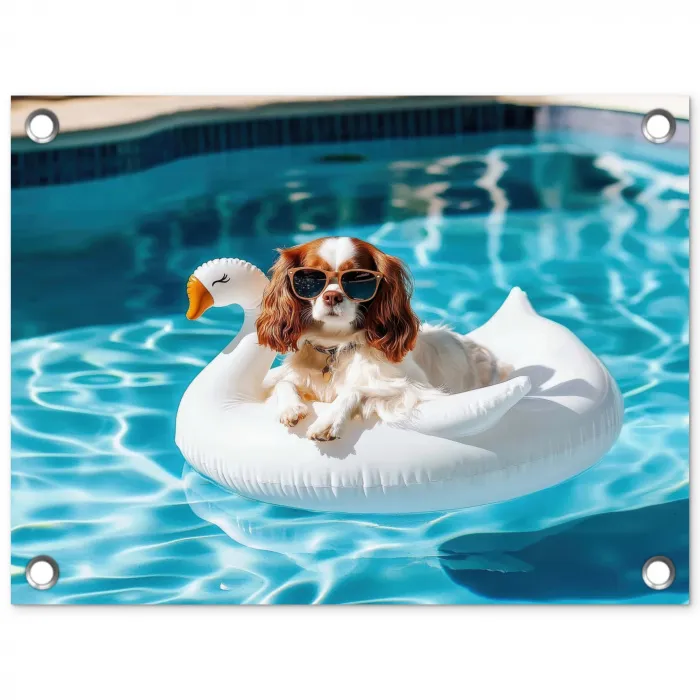 Spaniel - Zonnebril - Zwemband - Zwemband tuinposter los doek klein -3d