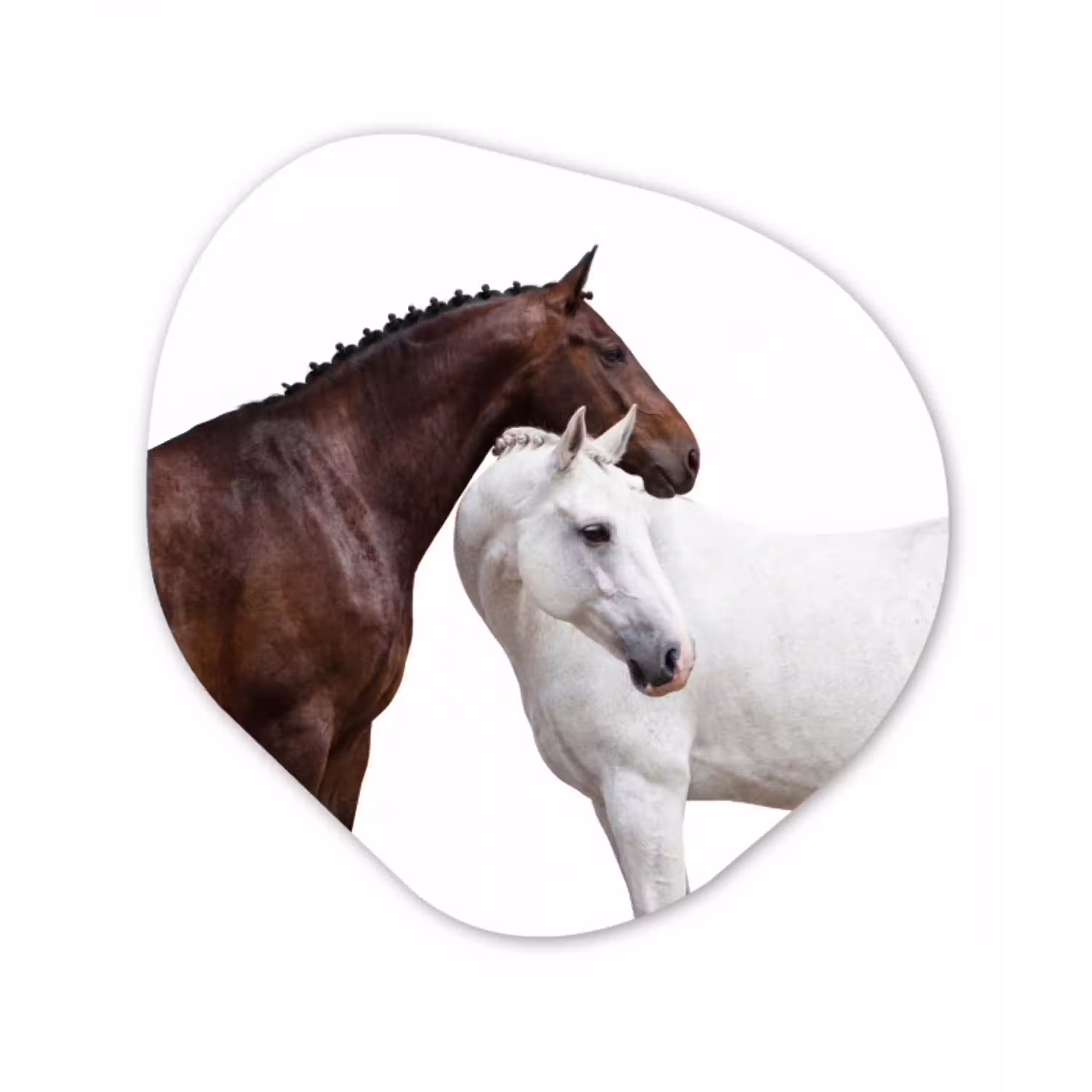 Paard - Modern - Balans Wandcirkel Organisch Aluminium middel -3d