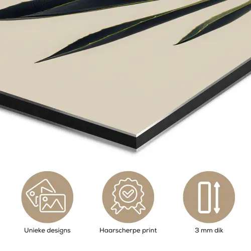 Agaveplant - Symmetrisch - Groen aluminium wit klein -closeup_NL