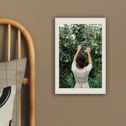 Boom - Appels - Plukken - Natuur canvas 2cm klein -sfeer3