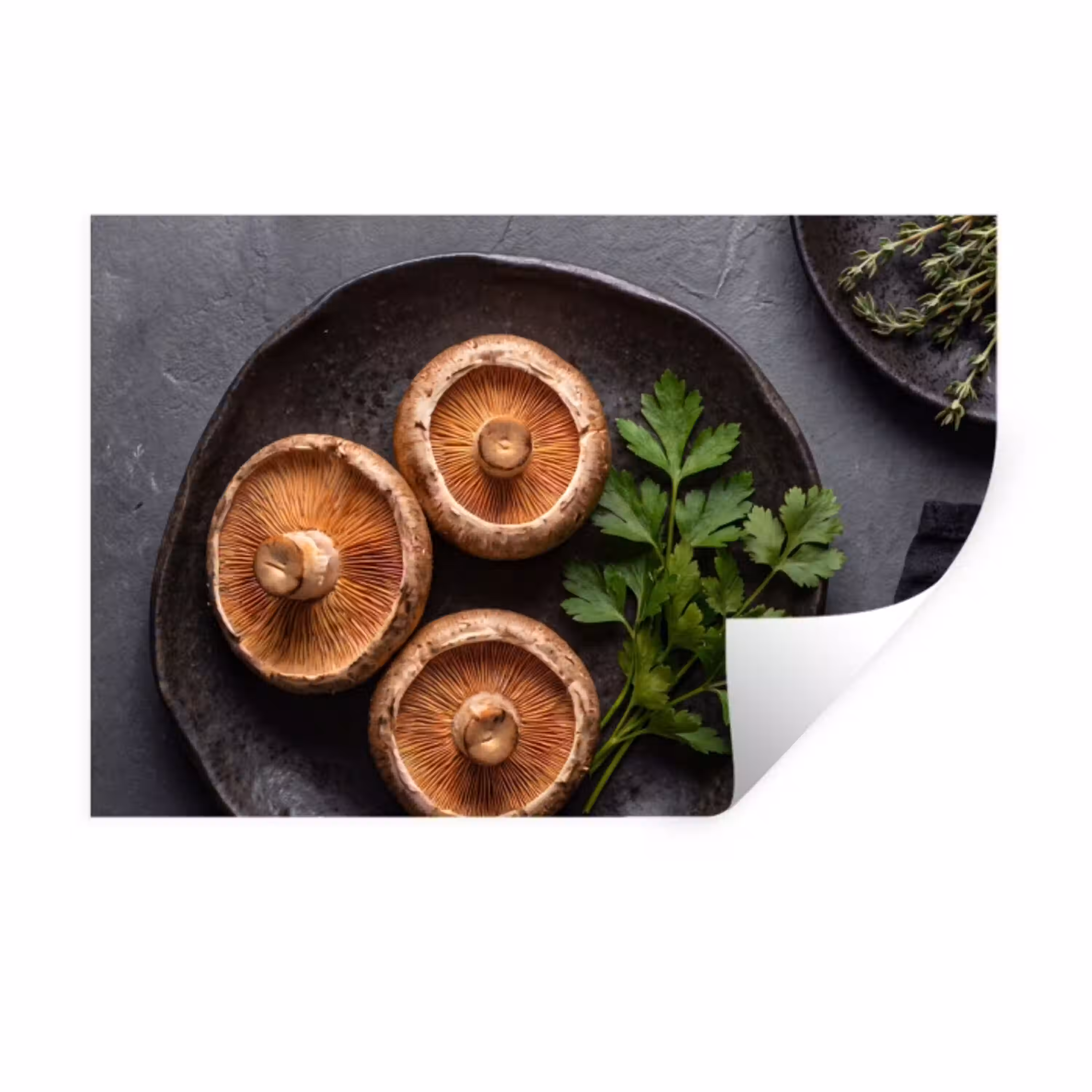 Paddestoelen - Kruiden - Eten Muursticker klein -3d