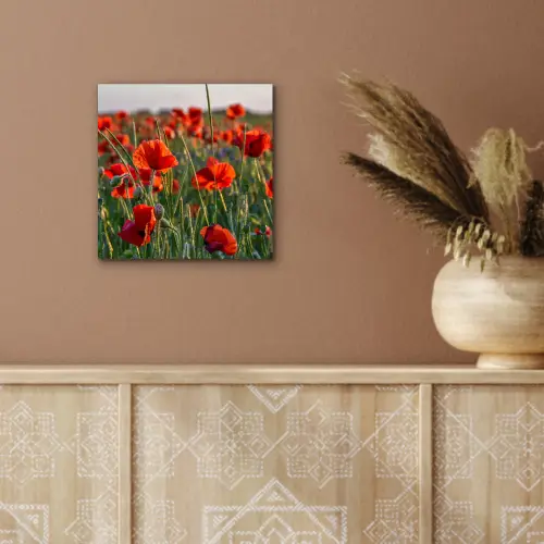 Bloemen - Klaprozen - Natuur - Rood aluminium wit klein -sfeer4