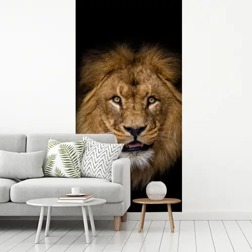 Leeuw - Portret - Zwart - Dieren fotobehang vinyl groot -woonkamer