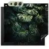 Plant - Monstera - Lichtinval Inductie beschemer met haakjes middel -3d