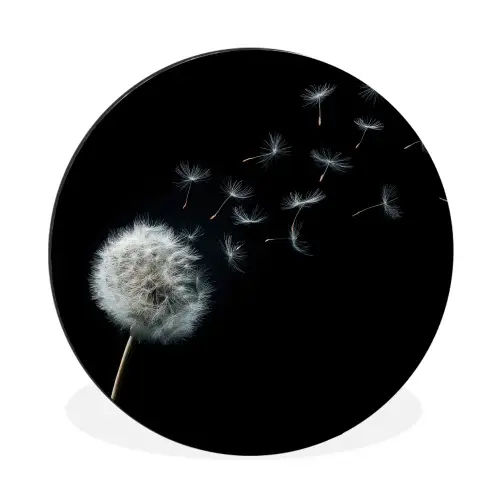 Paardenbloem - Zwart - Natuur Wandcirkel aluminium klein -3d