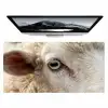 Schaap - Oog - Wit Muismat XXL klein -zzz3d