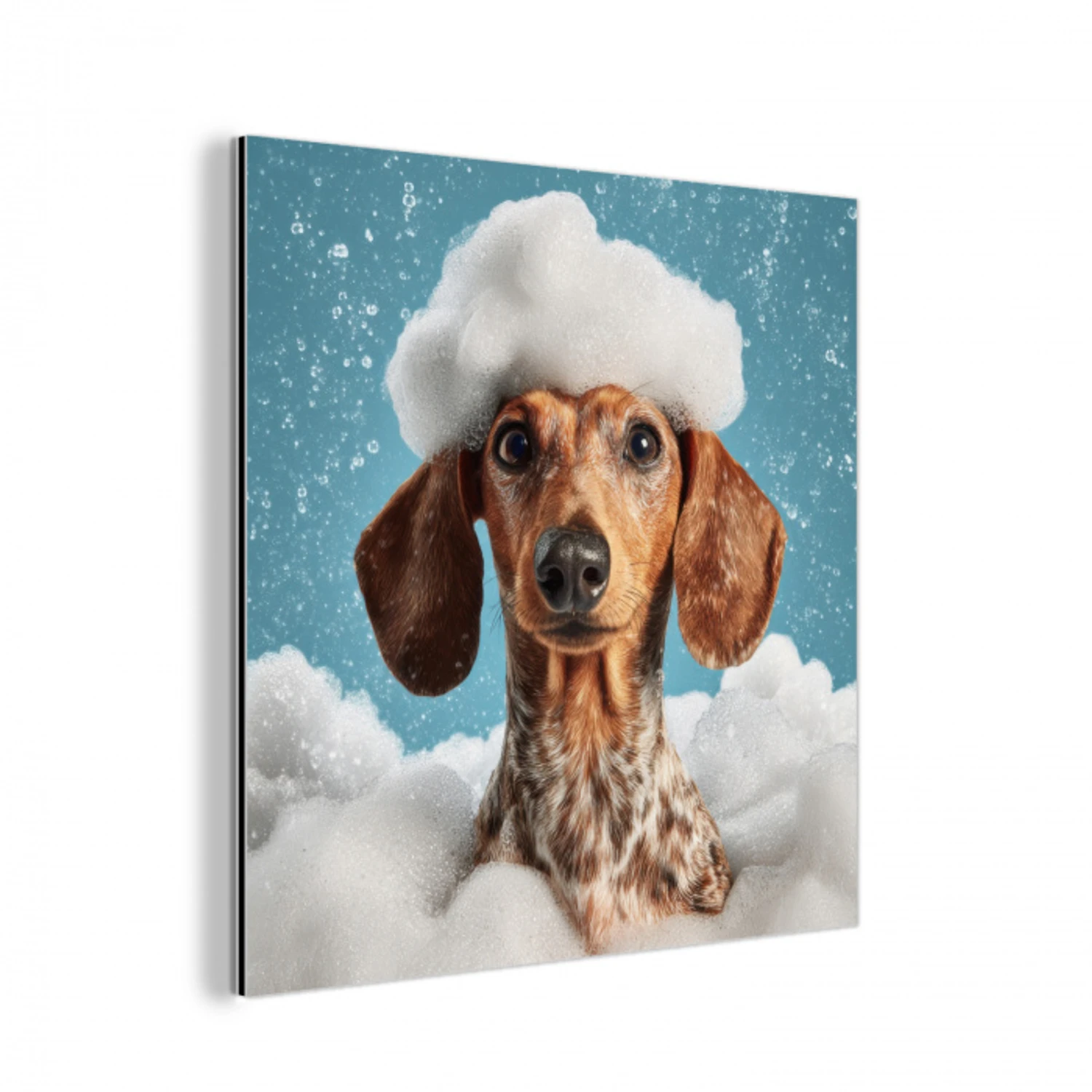 Teckel - Bad - Schuim - Waterdruppels aluminium wit klein -3d