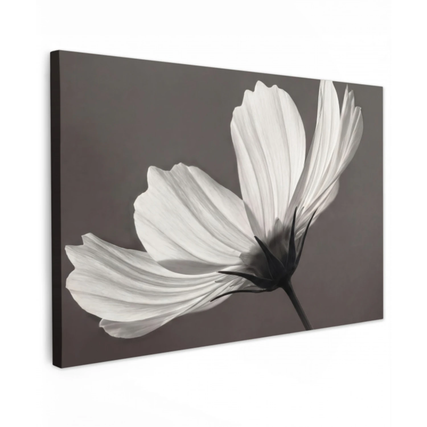 Bloem - Minimalistisch - Zwart - Wit Tuinposter op houten frame 2 cm dik klein -3d