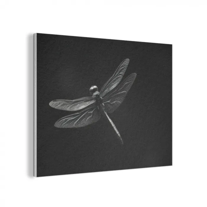 Libelle - Dieren - Zwart - Insect PET vilt klein -3d