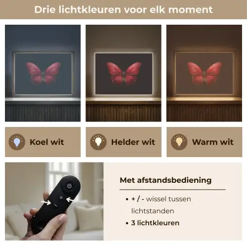 Vlinder - Rood - Minimalistisch Light Box met batterij (Wandlamp) middel -USP_lichtkleurNL
