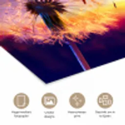Paardenbloem - Bloemen - Zonsondergang - Horizon - Nacht poster papier klein -closeup_NL