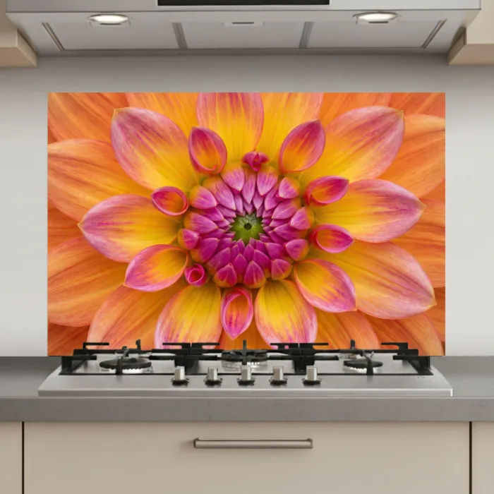 Dahlia - Bloem - Oranje keuken achterwand spatscherm klein -3d_website