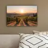 Wijngaard - Zonsondergang - Landschap canvas 2cm klein -sfeer3