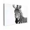 Zebra - Close-up - Zwart - Strepen canvas 2cm klein -z3d