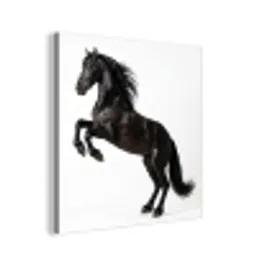Zwart - Paard - Portret aluminium wit klein -3d