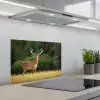 Hert - Gewei - Gras - Natuur - Dieren - Groen keuken achterwand spatscherm klein -3d_schuin