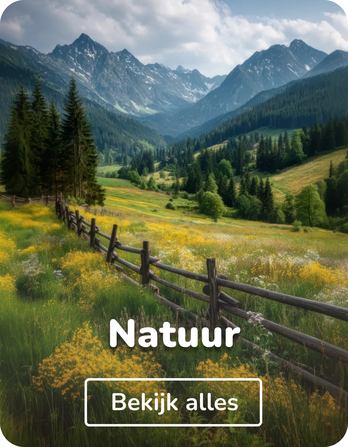 Canvas schilderijen natuur