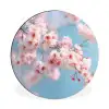 Takken - Bloesems - Roze Wandcirkel aluminium klein -3d