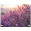 Lavendel - Paars - Zonlicht tuinposter los doek klein -3d