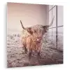 Schotse hooglanders - Licht - Lucht - Natuur plexiglas 5mm klein -zzzproduct_nieuw