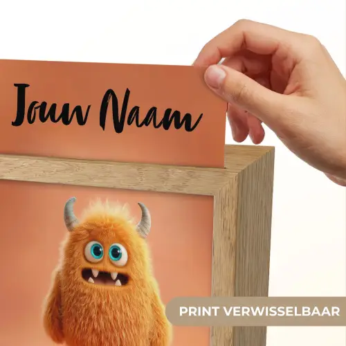 Monster - Knuffel - Oranje Light Box met kabel (Kinderlampje) klein -USP_websiteprintNL