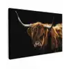 Schotse Hooglander - Horens - Zwart - Dieren - Natuur - Wild - Koe Tuinposter op houten frame 2 cm dik klein -3d