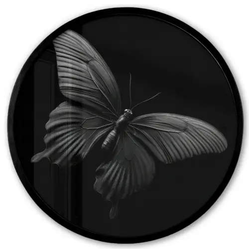 Vlinder - Zwart - Insect - Dieren Fotolijst rond zonder passe partout klein -3d