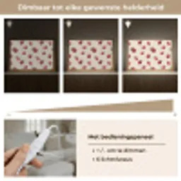 Framboos - Stippen - Rood Light Box met kabel (Tafellamp) klein 924 -USP_dimbaarNL