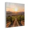 Wijngaard - Zonsondergang - Landschap plexiglas 5mm klein -z3d