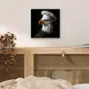 Arend -Amerika - Koksmuts - Vogel - Stoer aluminium wit klein -sfeer3