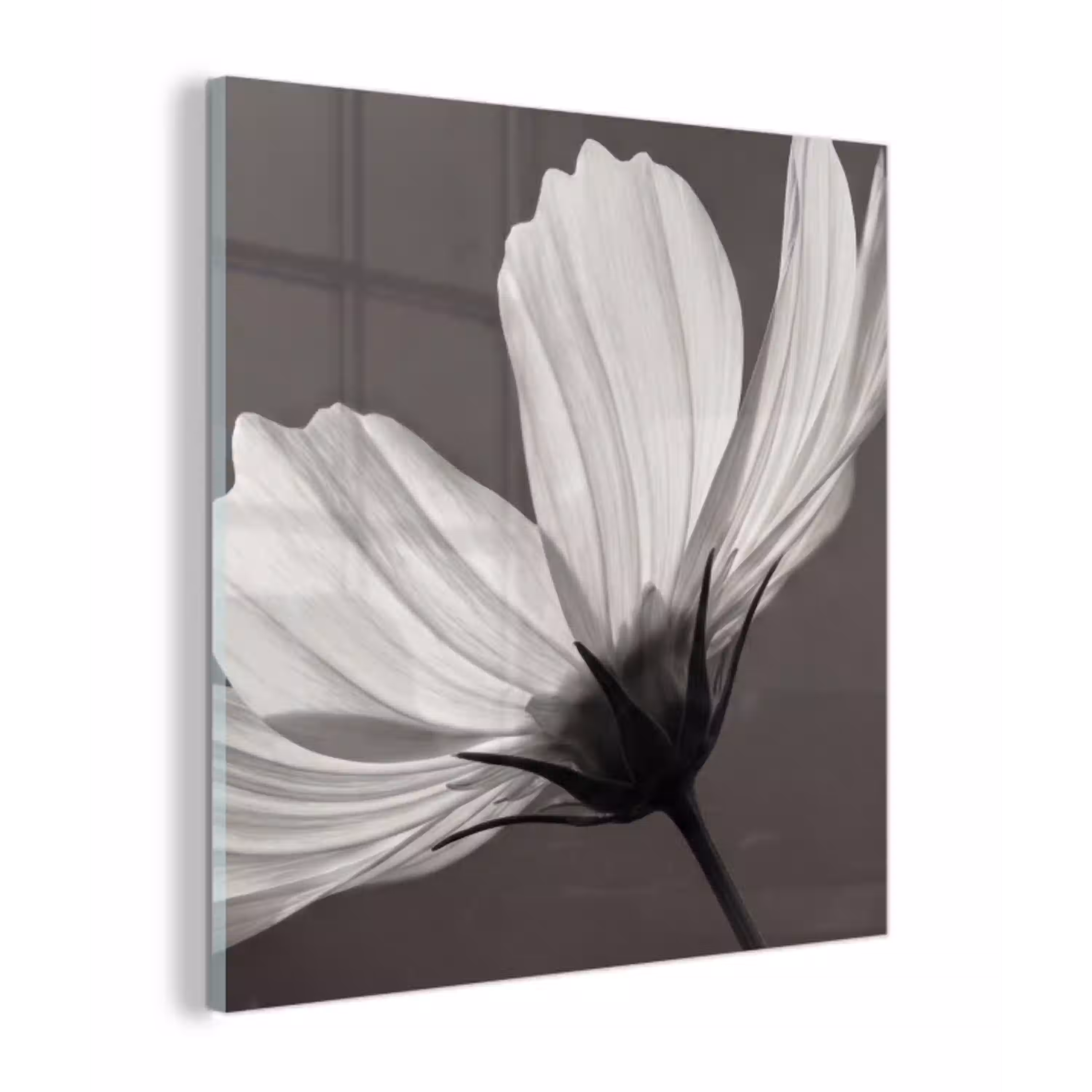 Bloem - Minimalistisch - Zwart - Wit plexiglas 5mm klein -z3d